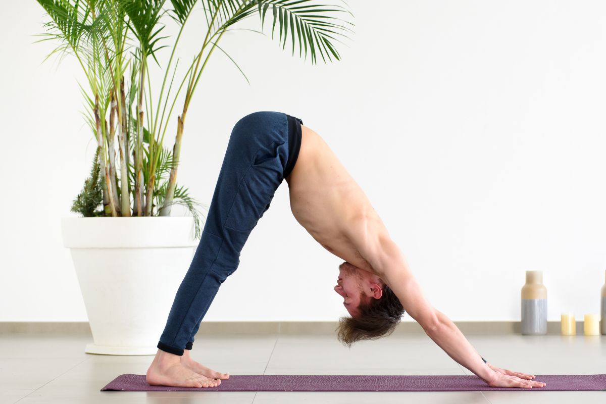 Grounding Winter Solstice Yoga - Downward Dog